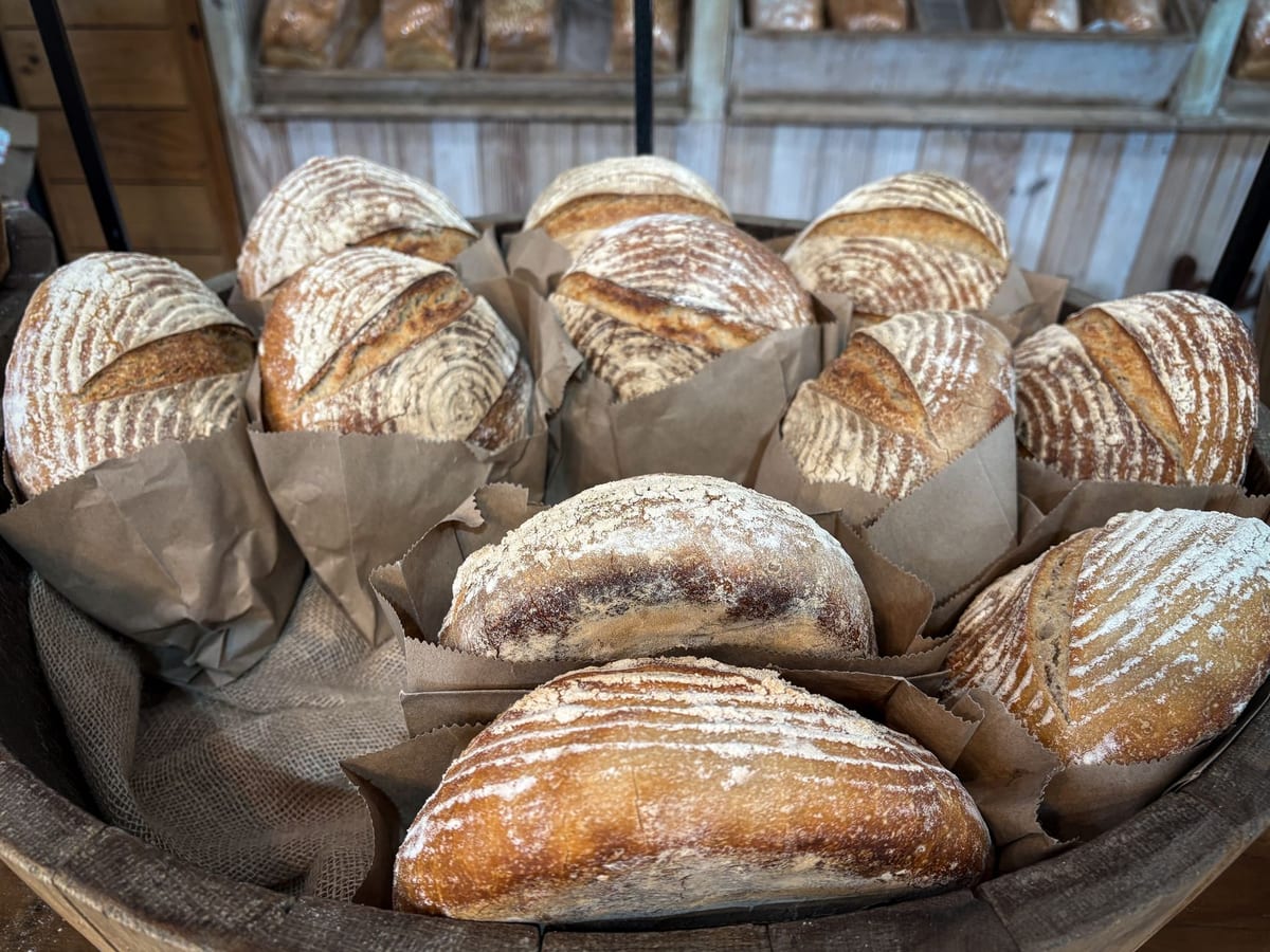 Fresh sourdough loaves in a rustic bakery display